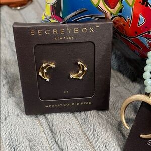 Secret Box Gold Dipped Earrings